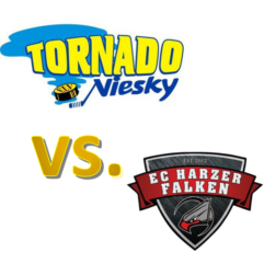 Stadionticket 13.02.2027 – vs. Harzer Falken